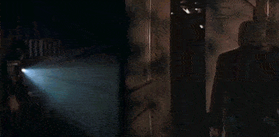 Trump GIF
