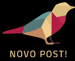Novo Post GIF by Canário Marketing