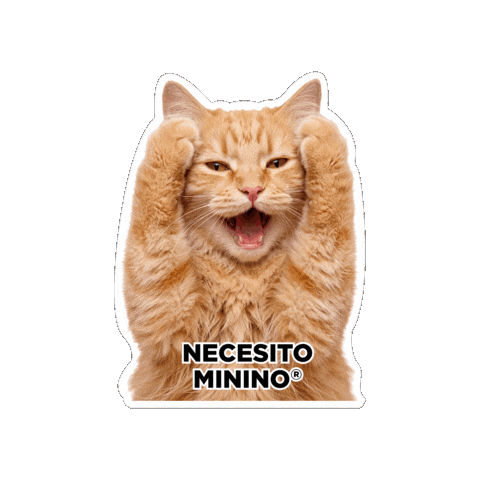 Seguroesporminino Sticker by Minino Plus®