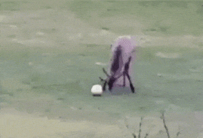 Dance GIF