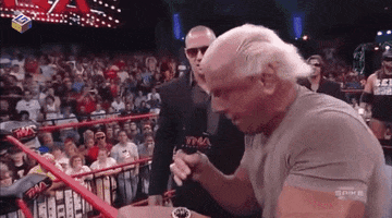 Ric Flair Wrestling GIF by G1ft3d