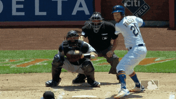home run baseball GIF by New York Mets