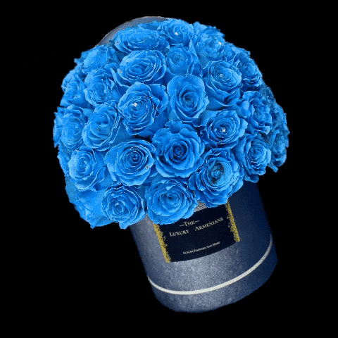 giphy.gif?cid=ecf05e47sok4aysxx3h09g2rpp