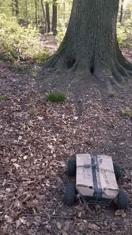 Animated GIF