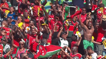 Get Loud Party GIF by World Rugby