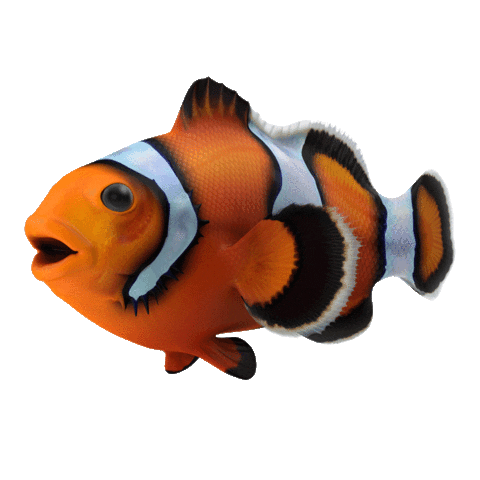 oceanicaquarium Sticker