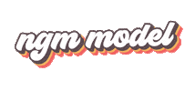 NGM Modeling Sticker