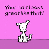 Good Hair Love GIF by Chippy the Dog