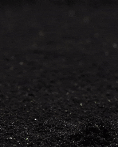 Vitalinsemgluten GIF by Vitalin