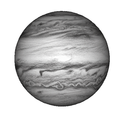 Miami No Sticker by lenay