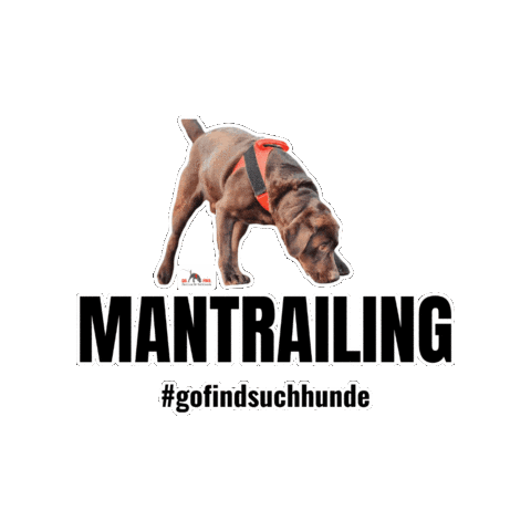 Dog Hund Sticker by GO FIND Suchhunde