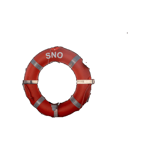 Lifesaver Sno Sticker by Chemgas