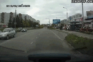 puns fail GIF by Cheezburger