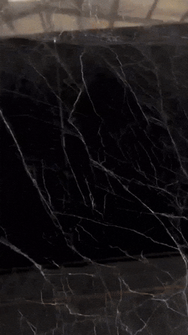 GIF by Qualitá Group