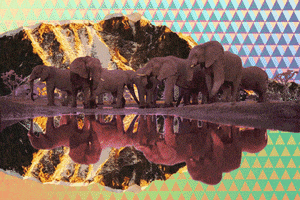 color africa GIF by weinventyou