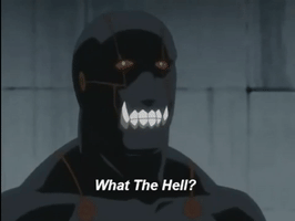 hadam10rose anime what the hell fullmetal alchemist 2003 GIF
