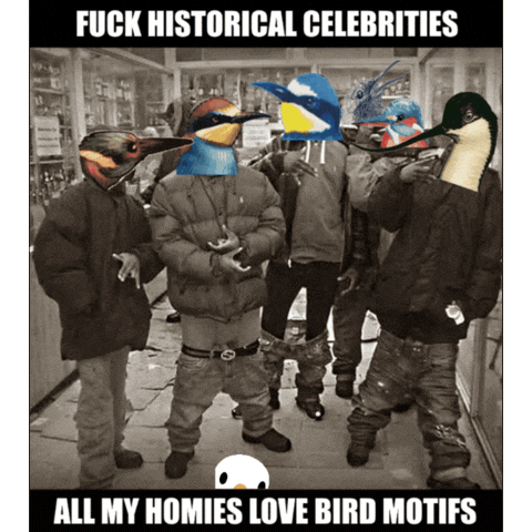 Europe Birds GIF