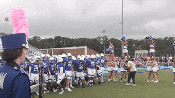 College Football GIF by Christopher Newport University