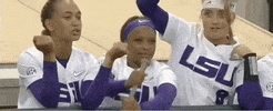College Sports Softball GIF by NCAA Championships
