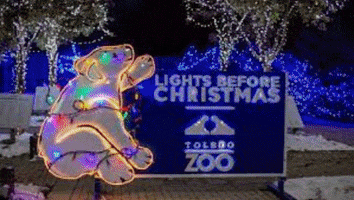 GIF by CstoneToledo