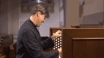 paramoregulch  GIF