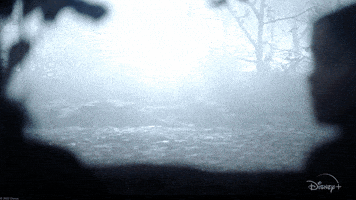 Hocus Pocus Dancing GIF by Walt Disney Studios