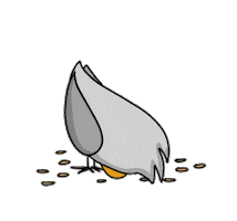 Bird Sticker