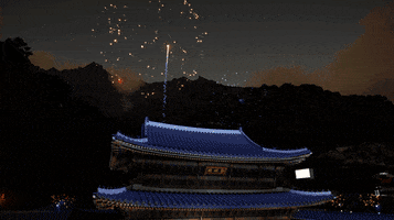 Music Video Fireworks GIF by DokeV