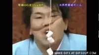 game show japanese GIF