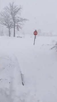 'Tis' The Season For a Blizzard': Snow Blankets Northeast Ohio