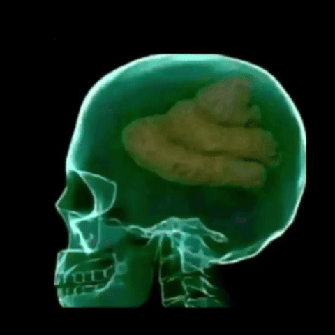 Brain GIF