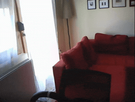 Spawn Appear GIF