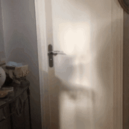 Caca GIF