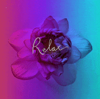 Stretch Yoga Brisbane GIF