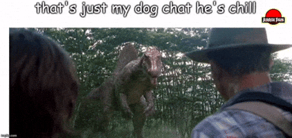 Chill Dog GIF