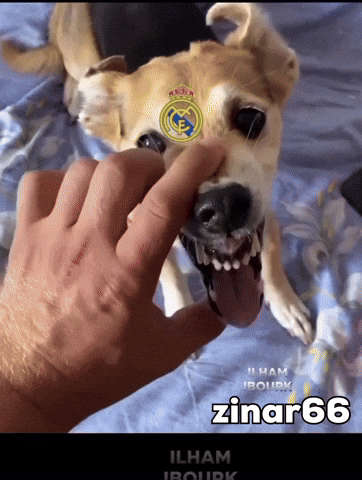 Barcelona Madrid GIF