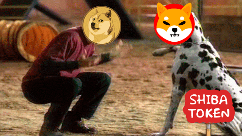 Bitcoin Crypto GIF by A Dúo Andaban thumbnail