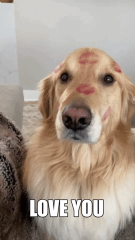 Valentines day love gif by finley - find & share on giphy