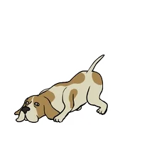 dog-sniff