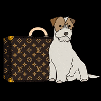 Happy Dog GIF by Louis Vuitton
