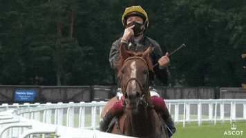 Choose Horse Racing GIF by Ascot Racecourse