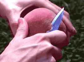 200.gif?cid=fc005b08b6a4321d881b0527f90212ef8c993c5a136c499d&rid=200.gif&ct=g