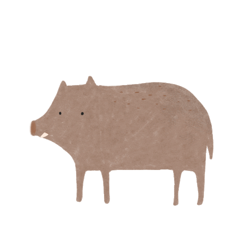 Dana Riesgo Sticker