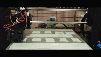 Timelapse GIF