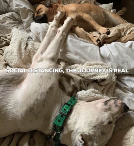 Social Distancing GIF