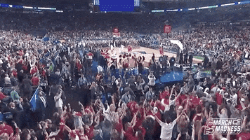 The Best GIFs from Final Four Saturday! by Sports GIFs | GIPHY