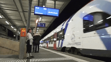 Train Trainspotting GIF by euronews