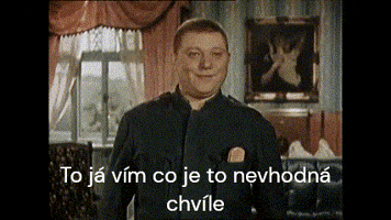 Poslušně Hlásím GIF