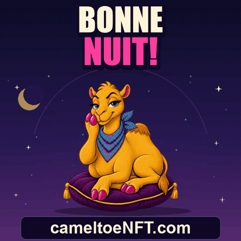 Good Night Bonne Nuit GIF by CamelToe