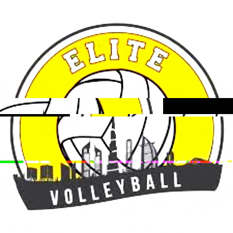 Elite Volleyball Academy Dubai GIF